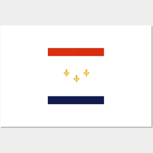 New Orleans Flag Posters and Art